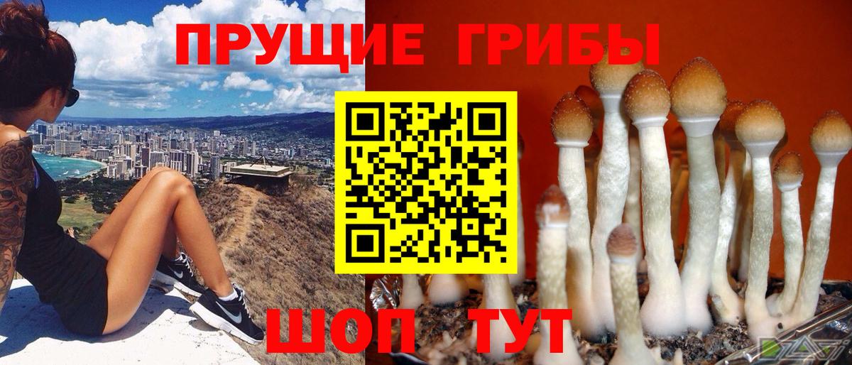 Рыбинск  Галлюциногенные грибы Psilocybine cubensis  Галлюциногенные грибы мицелий  Вход с VPN 