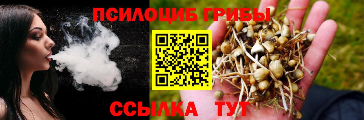 Галлюциногенные грибы Magic Shrooms Рыбинск